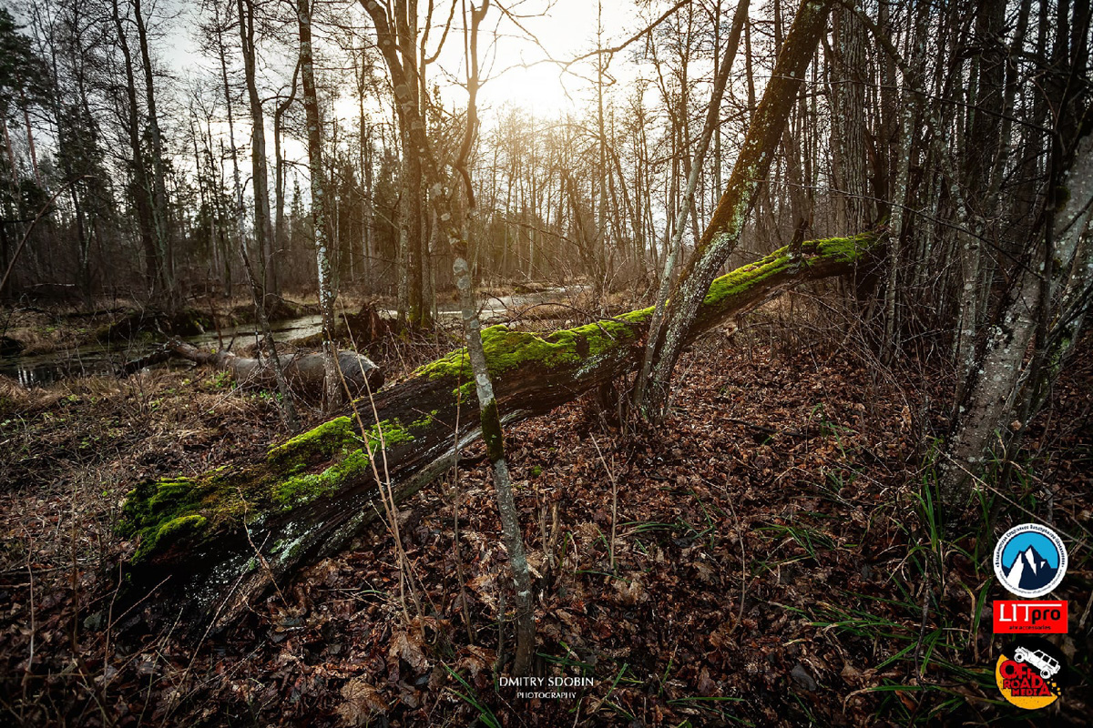 Артем и Никита Соколовские участвуют в трофи-рейдах. Их стихия — настоящее бездорожье. Как проехать там, где не ступала нога человека, и почему месить грязь притягательно, ребята знают лучше других.