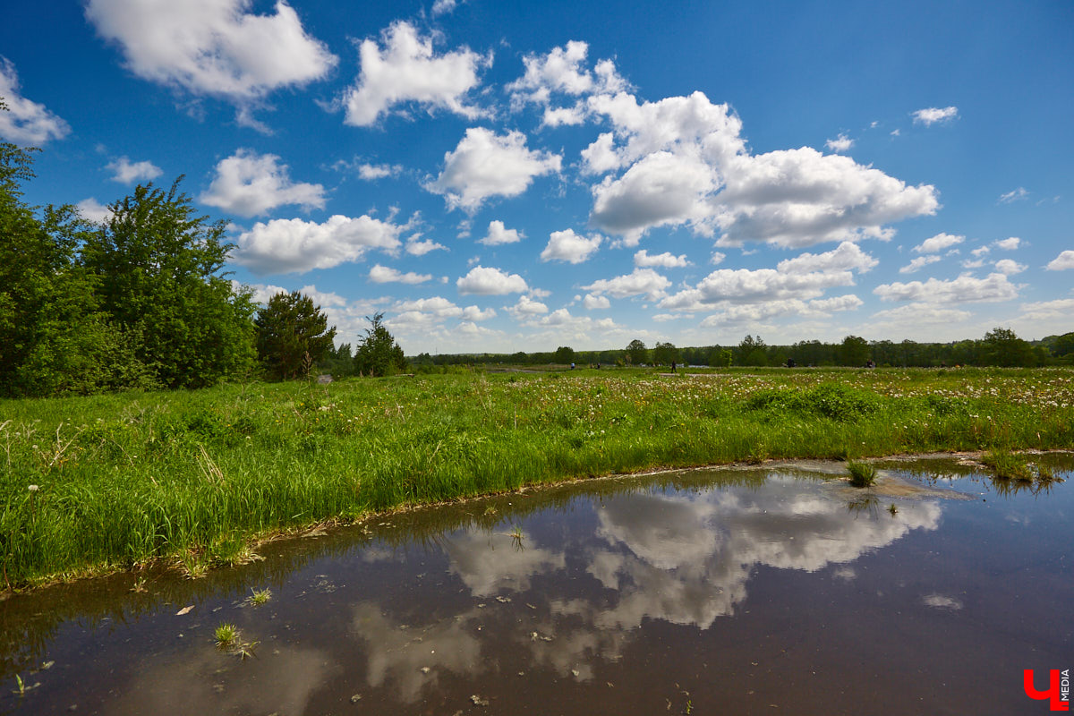 Фестиваль, или барбекю-субботник, «Чистое озеро» становится полезной традицией экоотеля «ВеЛес». Спустя год состоялось второе мероприятие, около сотни желающих очистили берег Запольского. Среди них — охотники и даже йог. Подробнее о здоровом лесном дыхании, 10 белках и 1000 утках на экс-площадке «Территории смыслов» в репортаже «Ключ-Медиа»