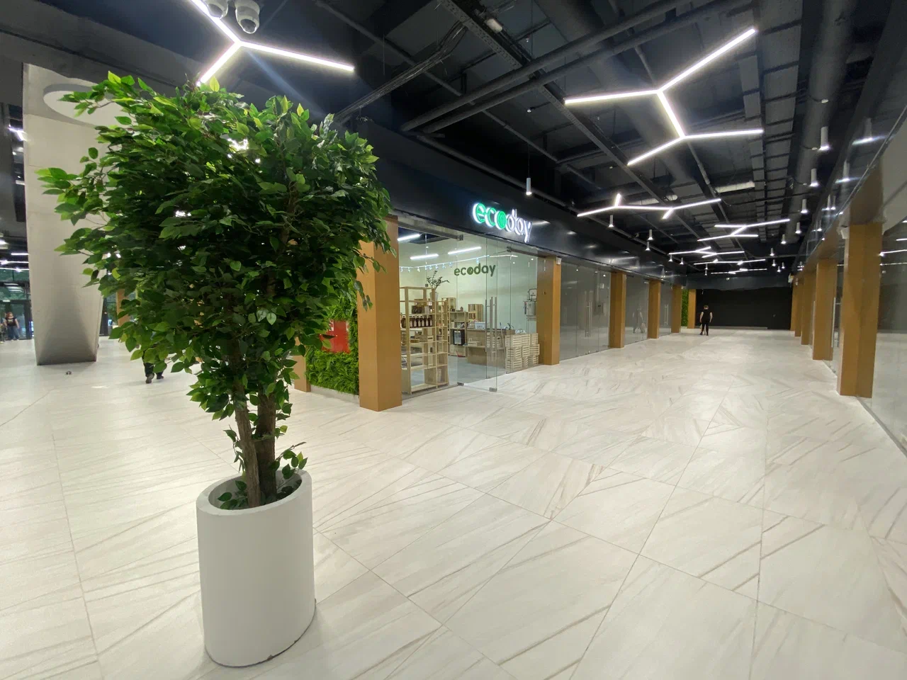 Помните фразу из к/ф «Ирония судьбы»: «Теперь чуть ли не в любом советском городе есть свои Черемушки»? Теперь свои Черемушки есть и во Владимире!