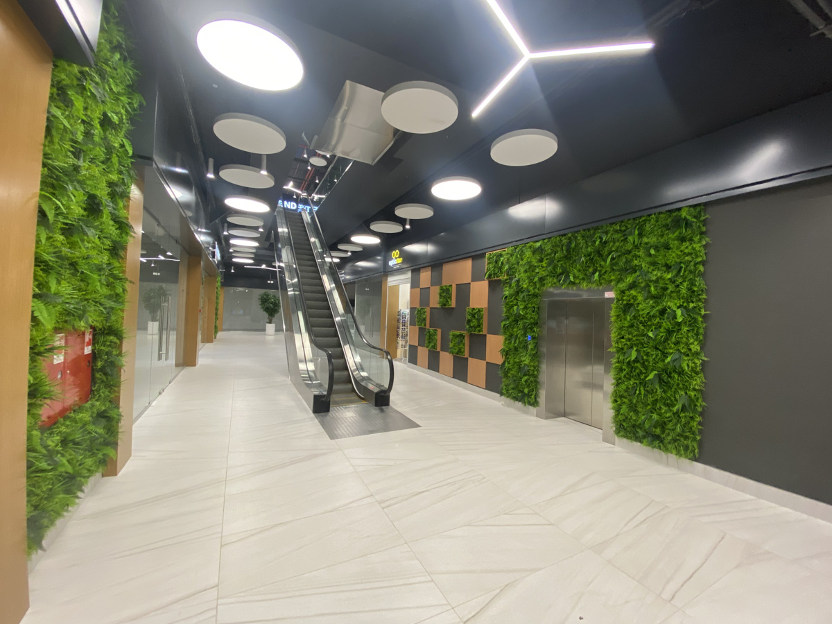 Помните фразу из к/ф «Ирония судьбы»: «Теперь чуть ли не в любом советском городе есть свои Черемушки»? Теперь свои Черемушки есть и во Владимире!