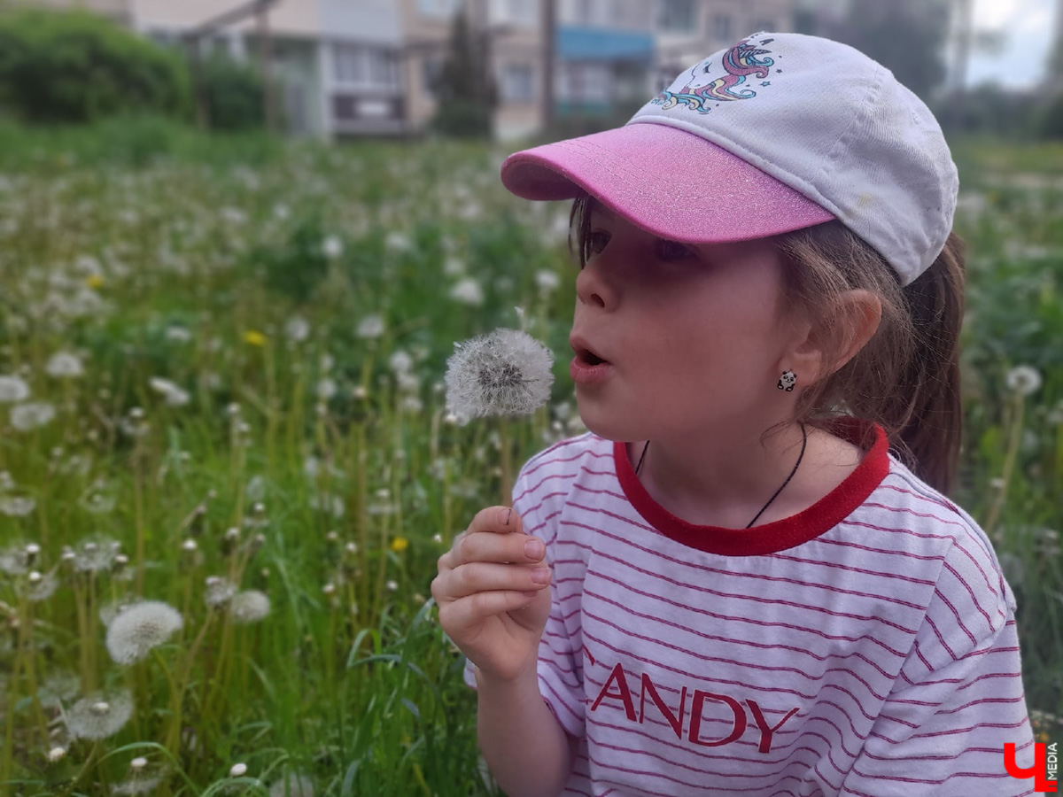 В топе выходных – буквально заснеженные поля и луга. Жители Владимирской области делятся красивыми снимками и видео с одуванчиками и пухом с деревьев. Белое покрывало смотрится очень контрастно на фоне зеленой травы. Оцените сами!
