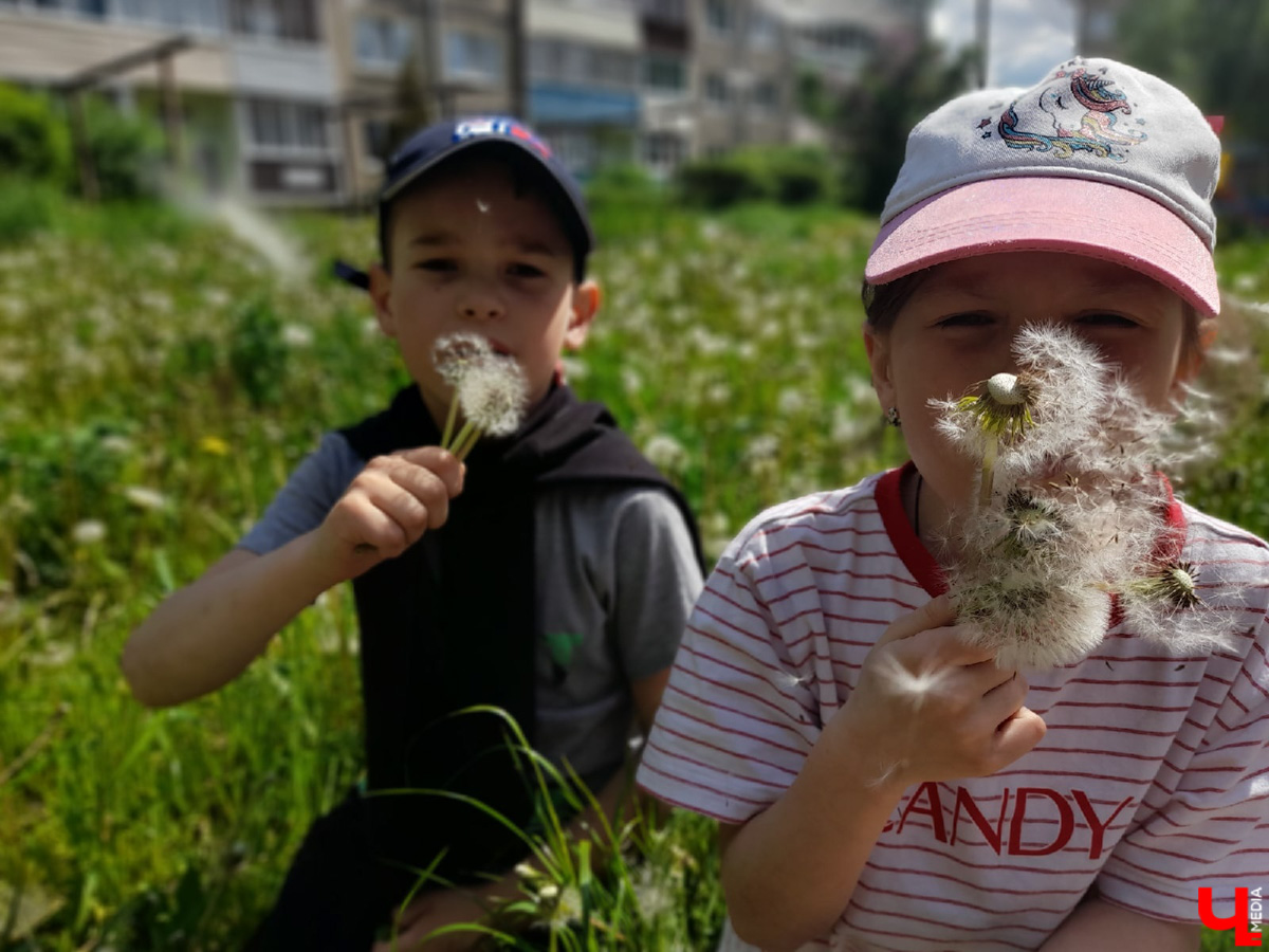 В топе выходных – буквально заснеженные поля и луга. Жители Владимирской области делятся красивыми снимками и видео с одуванчиками и пухом с деревьев. Белое покрывало смотрится очень контрастно на фоне зеленой травы. Оцените сами!