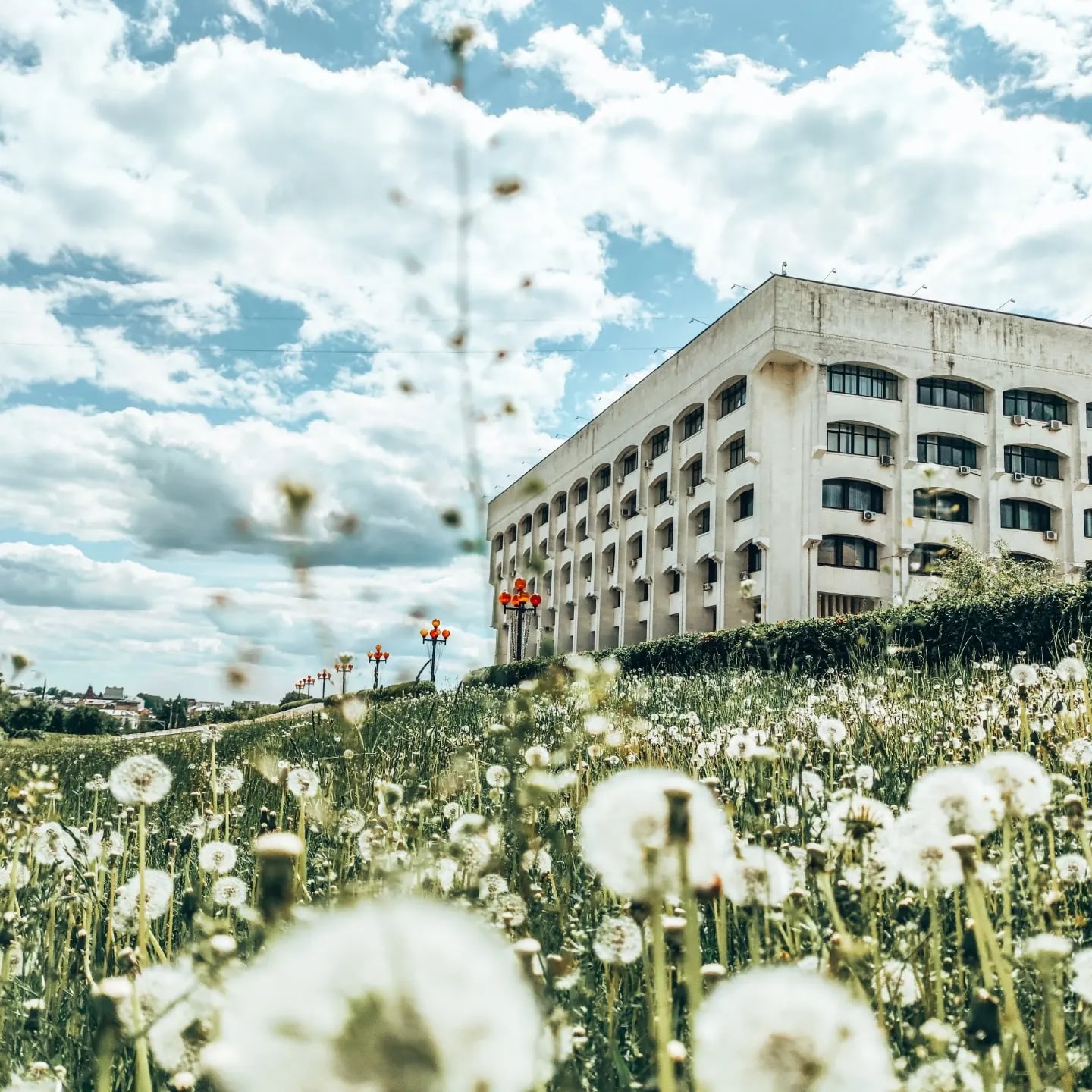 В топе выходных – буквально заснеженные поля и луга. Жители Владимирской области делятся красивыми снимками и видео с одуванчиками и пухом с деревьев. Белое покрывало смотрится очень контрастно на фоне зеленой травы. Оцените сами!