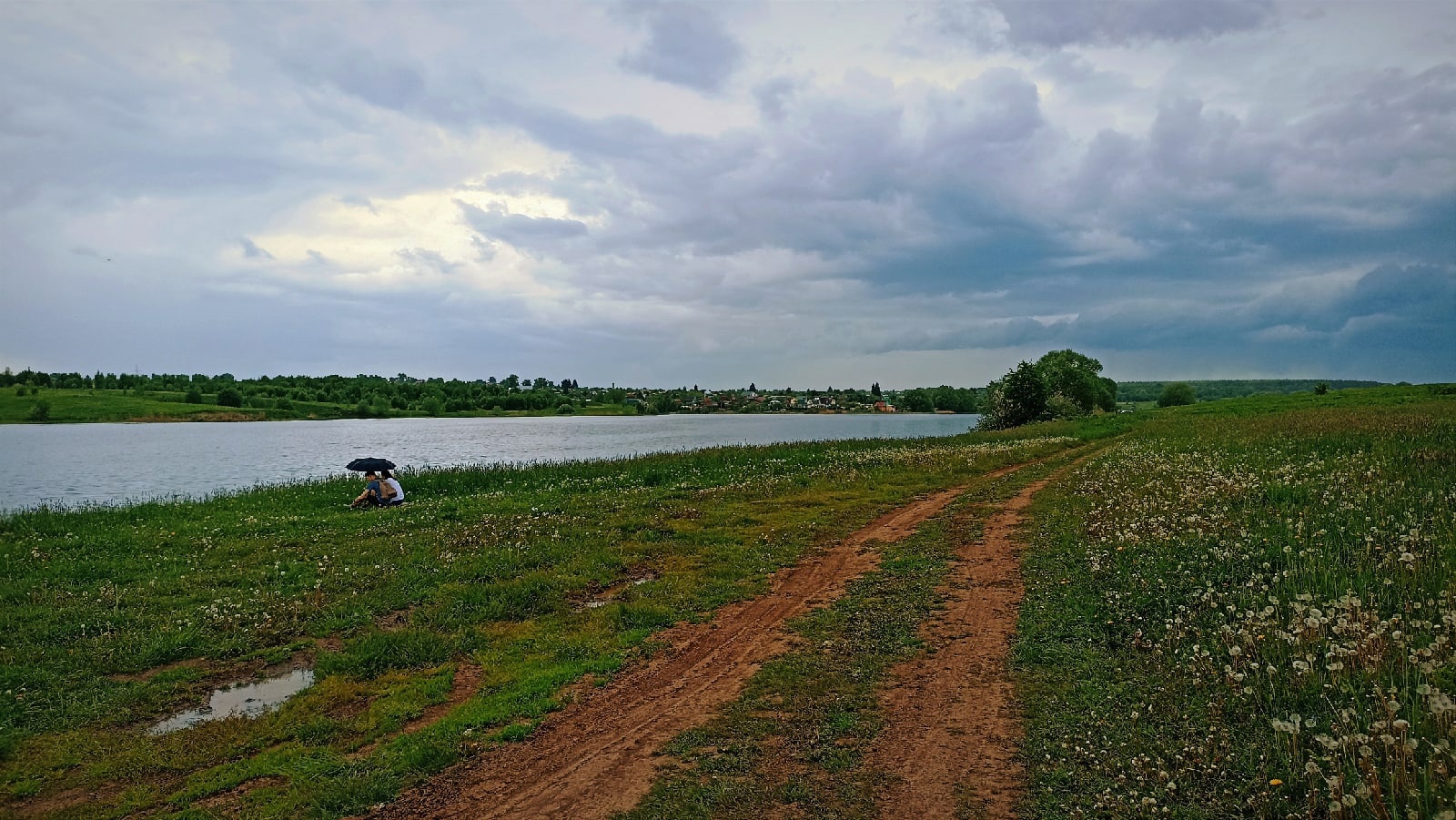 В топе выходных – буквально заснеженные поля и луга. Жители Владимирской области делятся красивыми снимками и видео с одуванчиками и пухом с деревьев. Белое покрывало смотрится очень контрастно на фоне зеленой травы. Оцените сами!