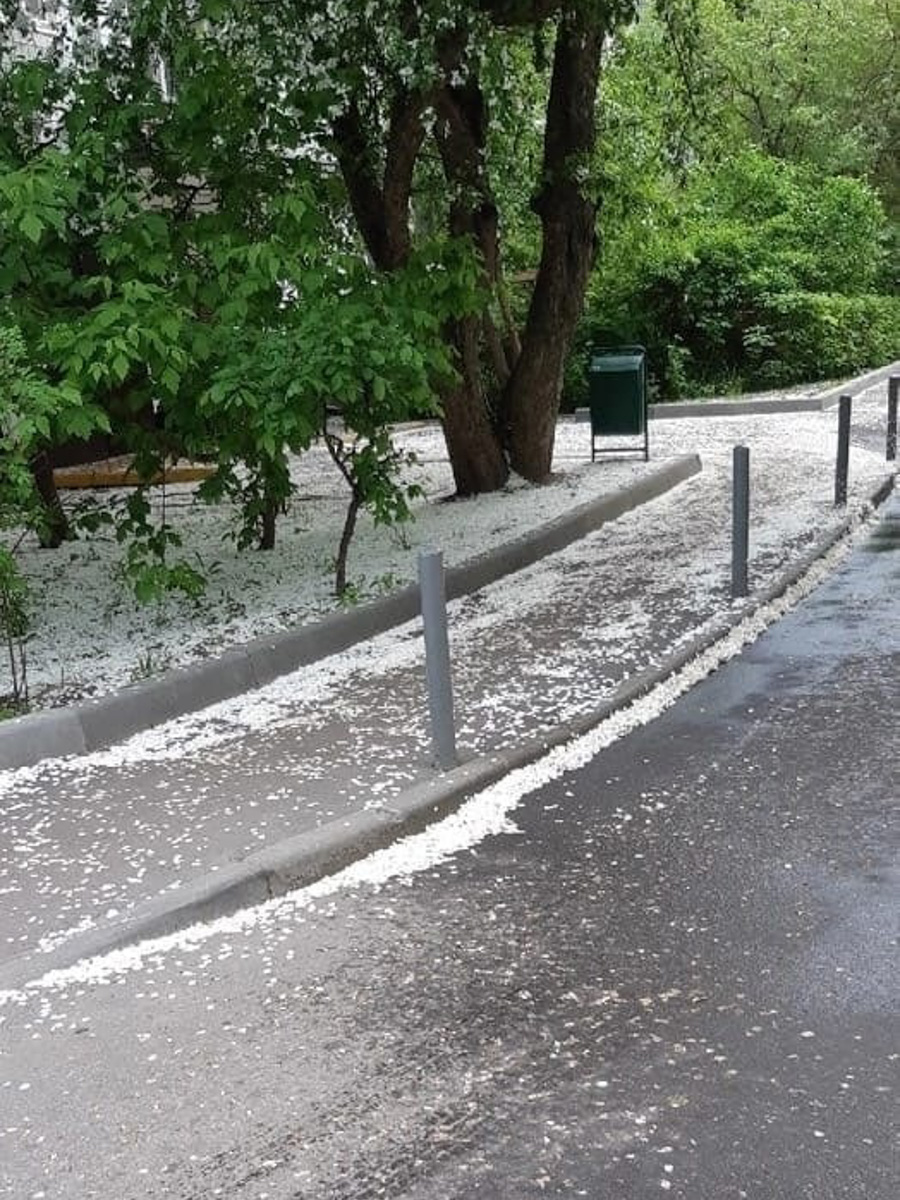 В топе выходных – буквально заснеженные поля и луга. Жители Владимирской области делятся красивыми снимками и видео с одуванчиками и пухом с деревьев. Белое покрывало смотрится очень контрастно на фоне зеленой травы. Оцените сами!
