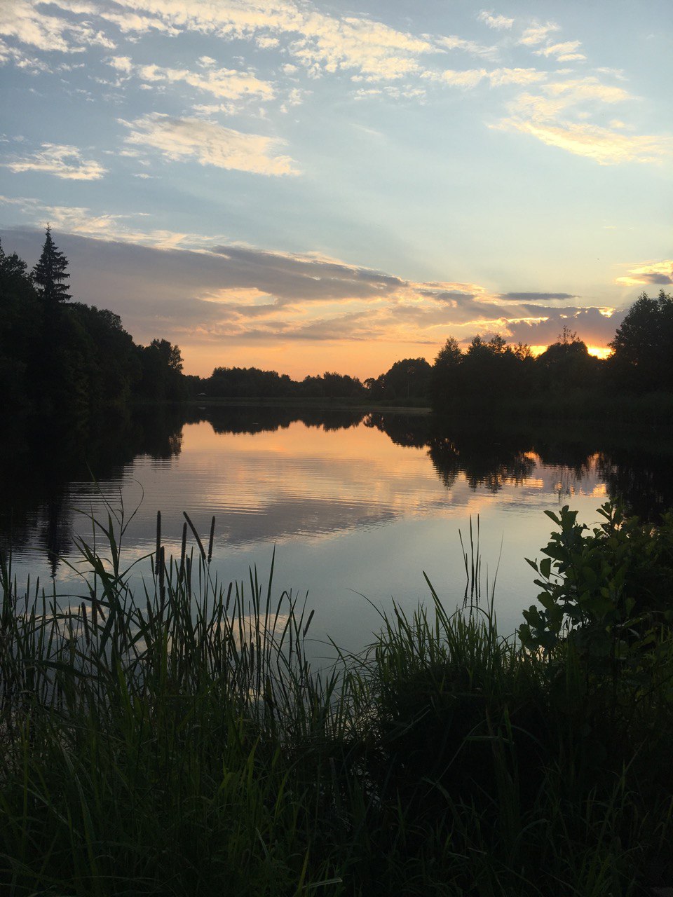 В этом году 4 водоема одобрены всевозможными ведомствами и признаны безопасными. Остальные пляжи в черте или окрестностях города потенциальными местами для отдыха не признаны. Любимые, но дикие — многие из них мы собрали в рамках летнего топа. На случай, когда хочется подзолотиться без похода в воду, отлично подойдет unofficial обзор!