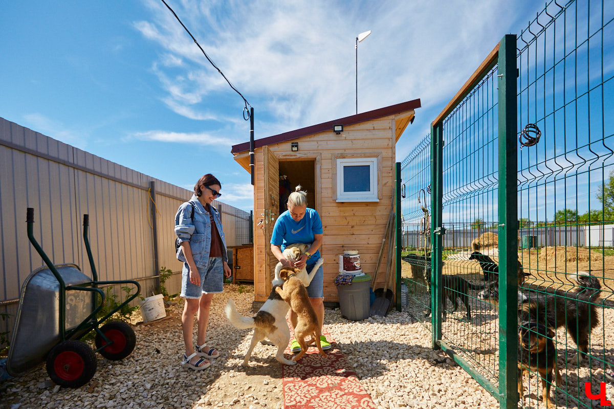 Собака бывает кусачей только от жизни собачьей. А в частном приюте «Дорога добра» все хвостатые питомцы очень дружелюбные и всегда рады гостям. Убедитесь в этом сами. Внимание: фото заряжены на позитив!