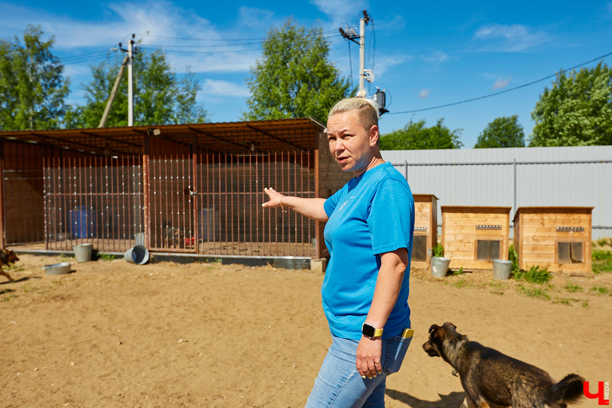 Собака бывает кусачей только от жизни собачьей. А в частном приюте «Дорога добра» все хвостатые питомцы очень дружелюбные и всегда рады гостям. Убедитесь в этом сами. Внимание: фото заряжены на позитив!