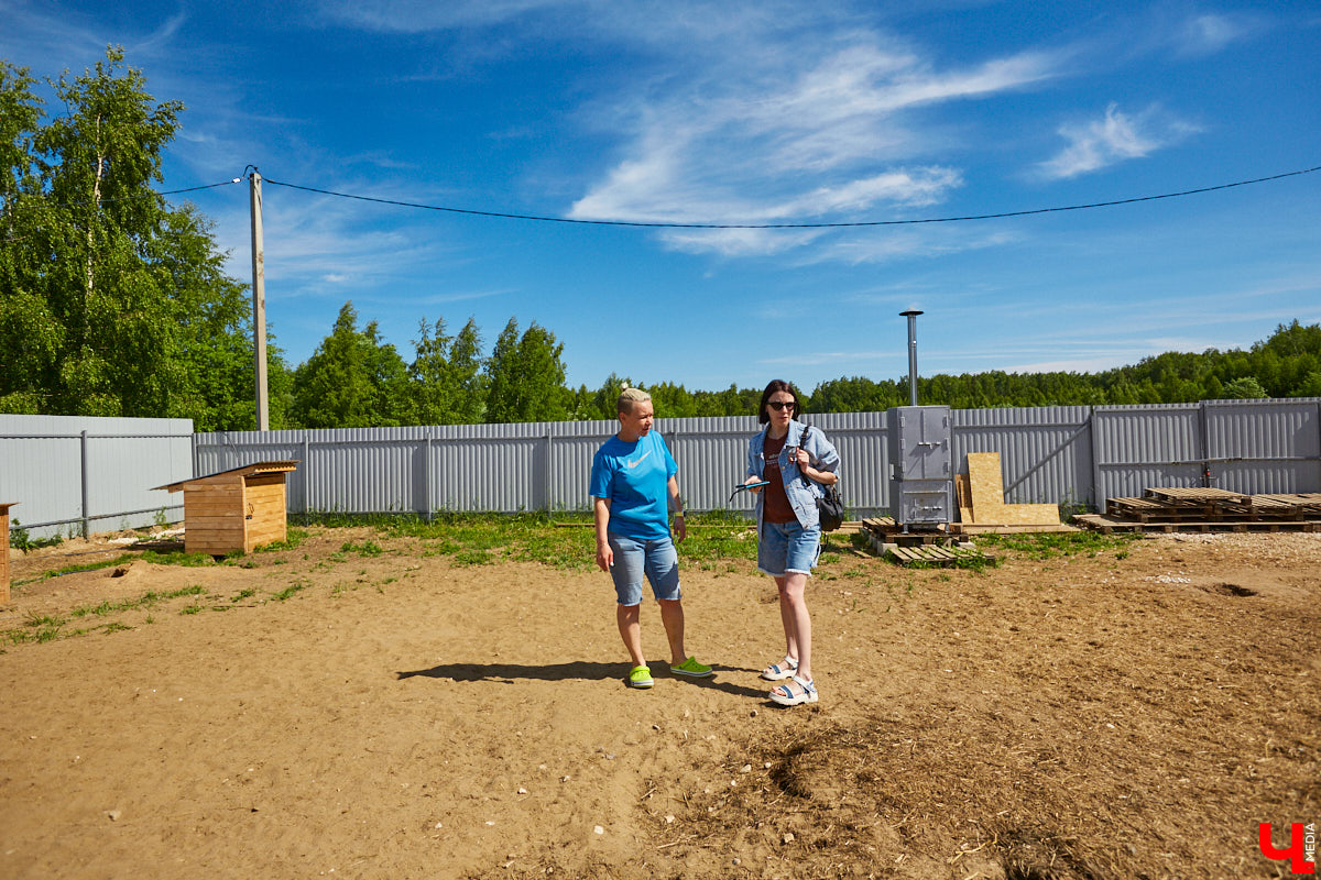 Собака бывает кусачей только от жизни собачьей. А в частном приюте «Дорога добра» все хвостатые питомцы очень дружелюбные и всегда рады гостям. Убедитесь в этом сами. Внимание: фото заряжены на позитив!