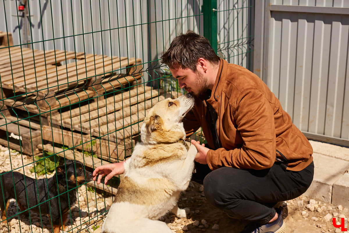 Собака бывает кусачей только от жизни собачьей. А в частном приюте «Дорога добра» все хвостатые питомцы очень дружелюбные и всегда рады гостям. Убедитесь в этом сами. Внимание: фото заряжены на позитив!