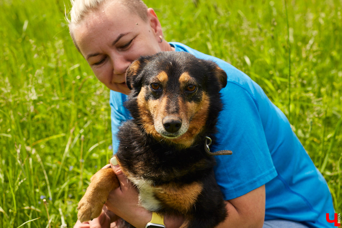 Собака бывает кусачей только от жизни собачьей. А в частном приюте «Дорога добра» все хвостатые питомцы очень дружелюбные и всегда рады гостям. Убедитесь в этом сами. Внимание: фото заряжены на позитив!