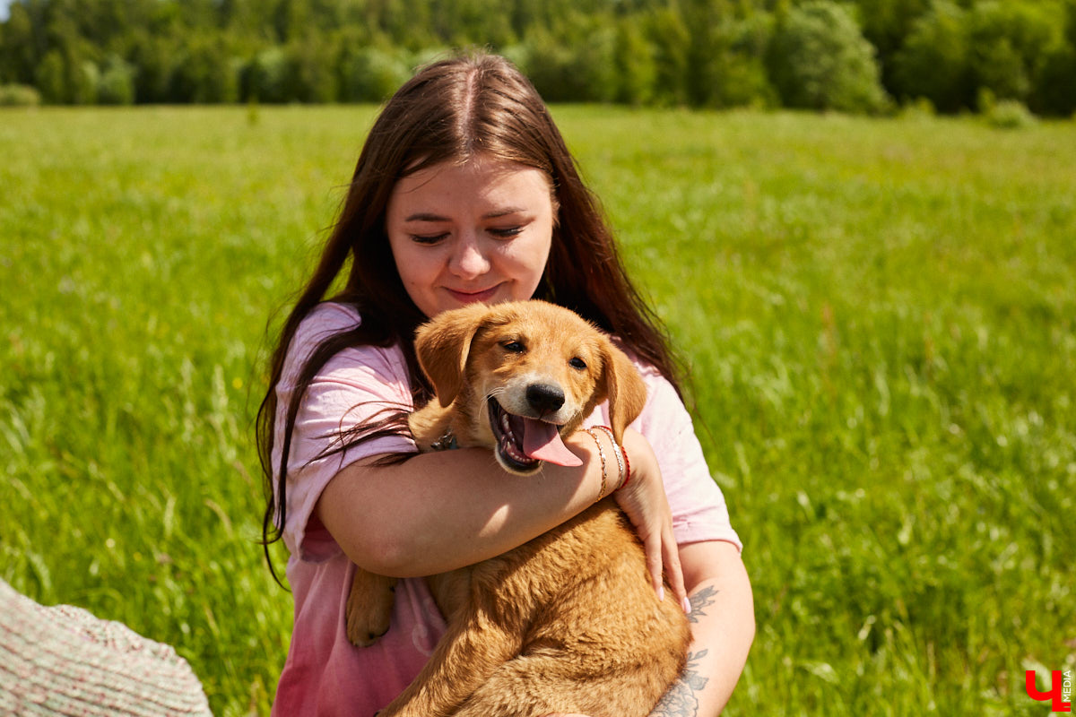 Собака бывает кусачей только от жизни собачьей. А в частном приюте «Дорога добра» все хвостатые питомцы очень дружелюбные и всегда рады гостям. Убедитесь в этом сами. Внимание: фото заряжены на позитив!