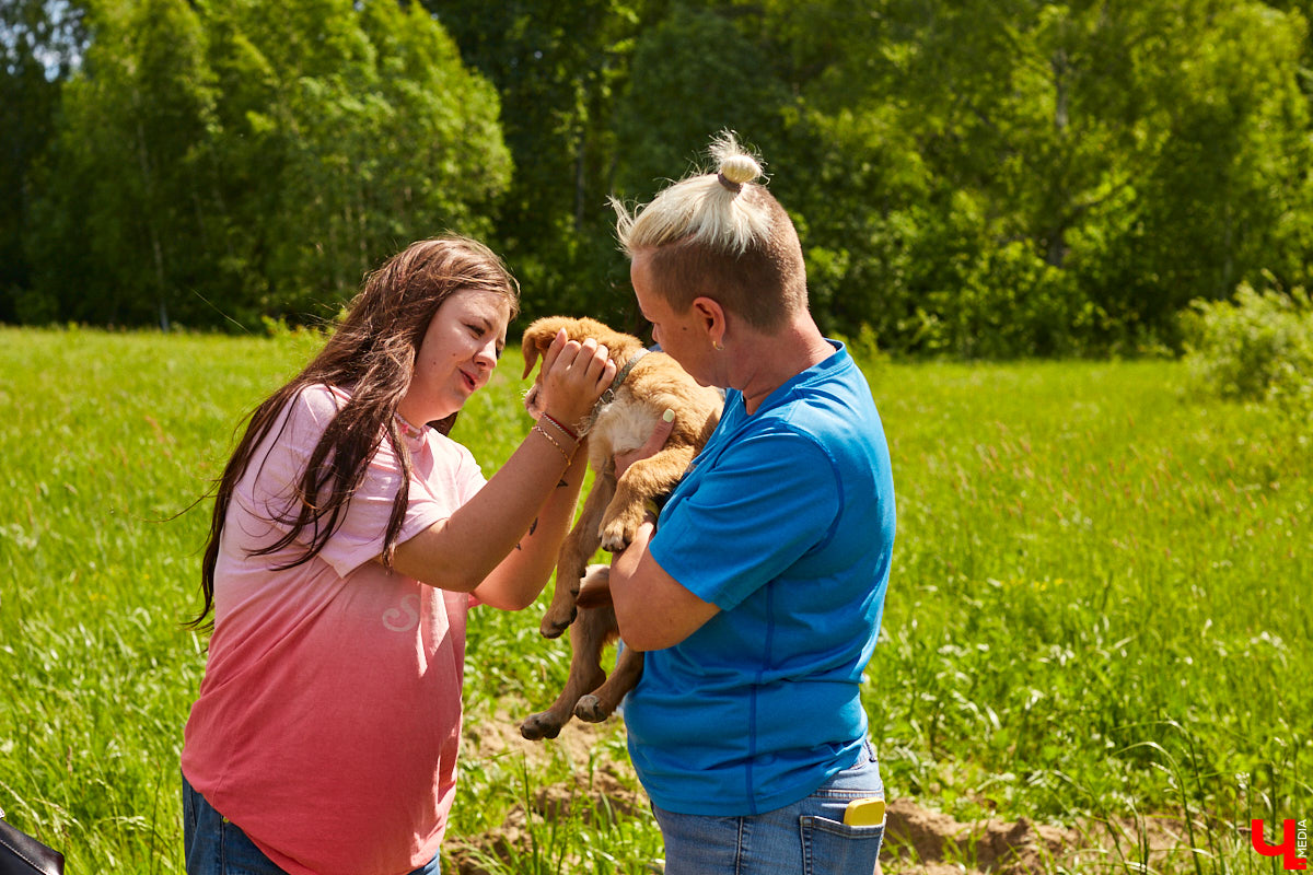 Собака бывает кусачей только от жизни собачьей. А в частном приюте «Дорога добра» все хвостатые питомцы очень дружелюбные и всегда рады гостям. Убедитесь в этом сами. Внимание: фото заряжены на позитив!
