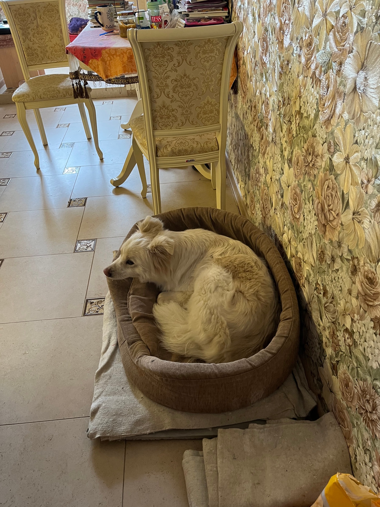 Собака бывает кусачей только от жизни собачьей. А в частном приюте «Дорога добра» все хвостатые питомцы очень дружелюбные и всегда рады гостям. Убедитесь в этом сами. Внимание: фото заряжены на позитив!