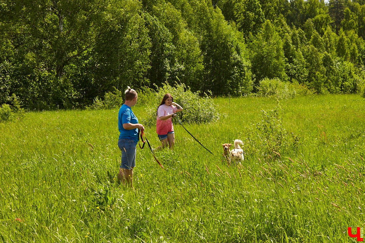 Собака бывает кусачей только от жизни собачьей. А в частном приюте «Дорога добра» все хвостатые питомцы очень дружелюбные и всегда рады гостям. Убедитесь в этом сами. Внимание: фото заряжены на позитив!