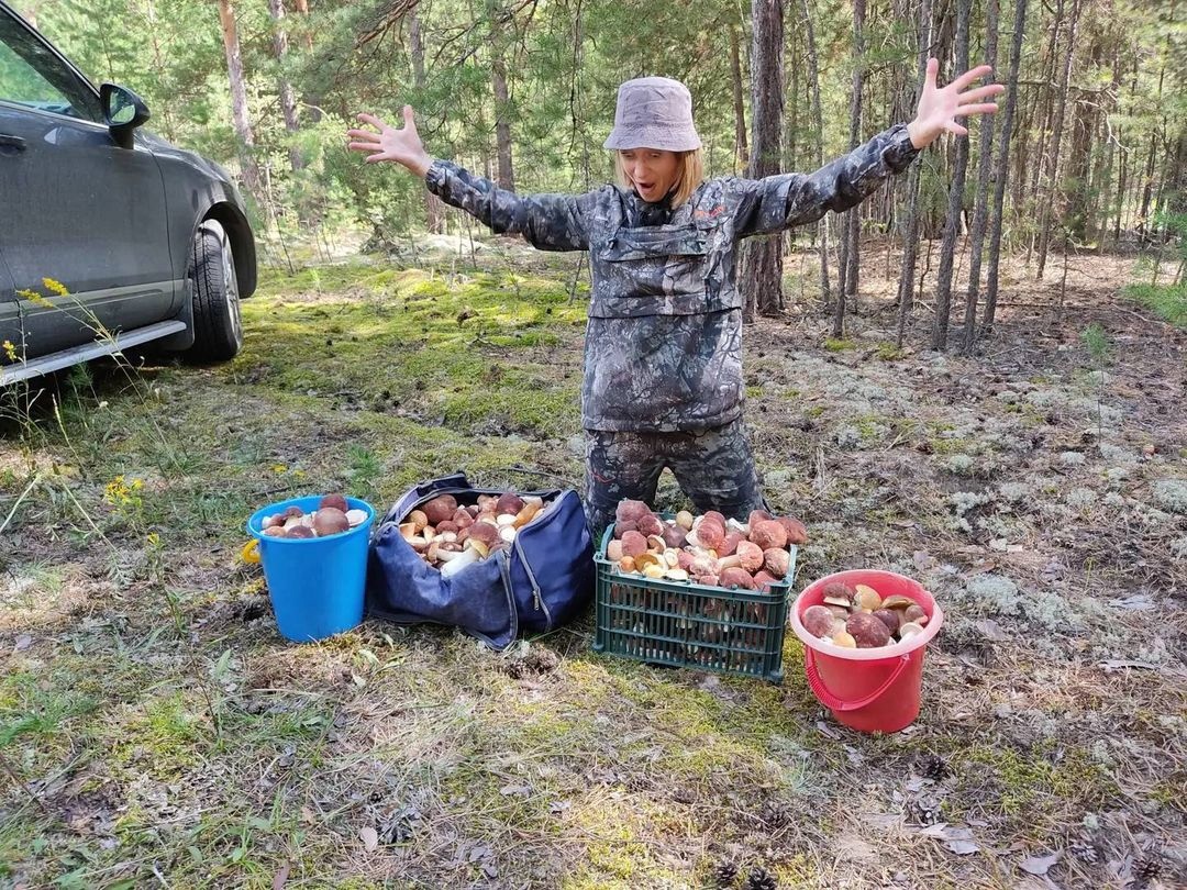 В социальных сетях жители Владимирской области делятся фотографиями первых по-настоящему съедобных грибов. На снимках и подберезовики, и лисички. Специалисты ожидают, что скоро начнется грибной бум. «Ключ-Медиа» выяснил, куда стоит отправиться с корзинкой.