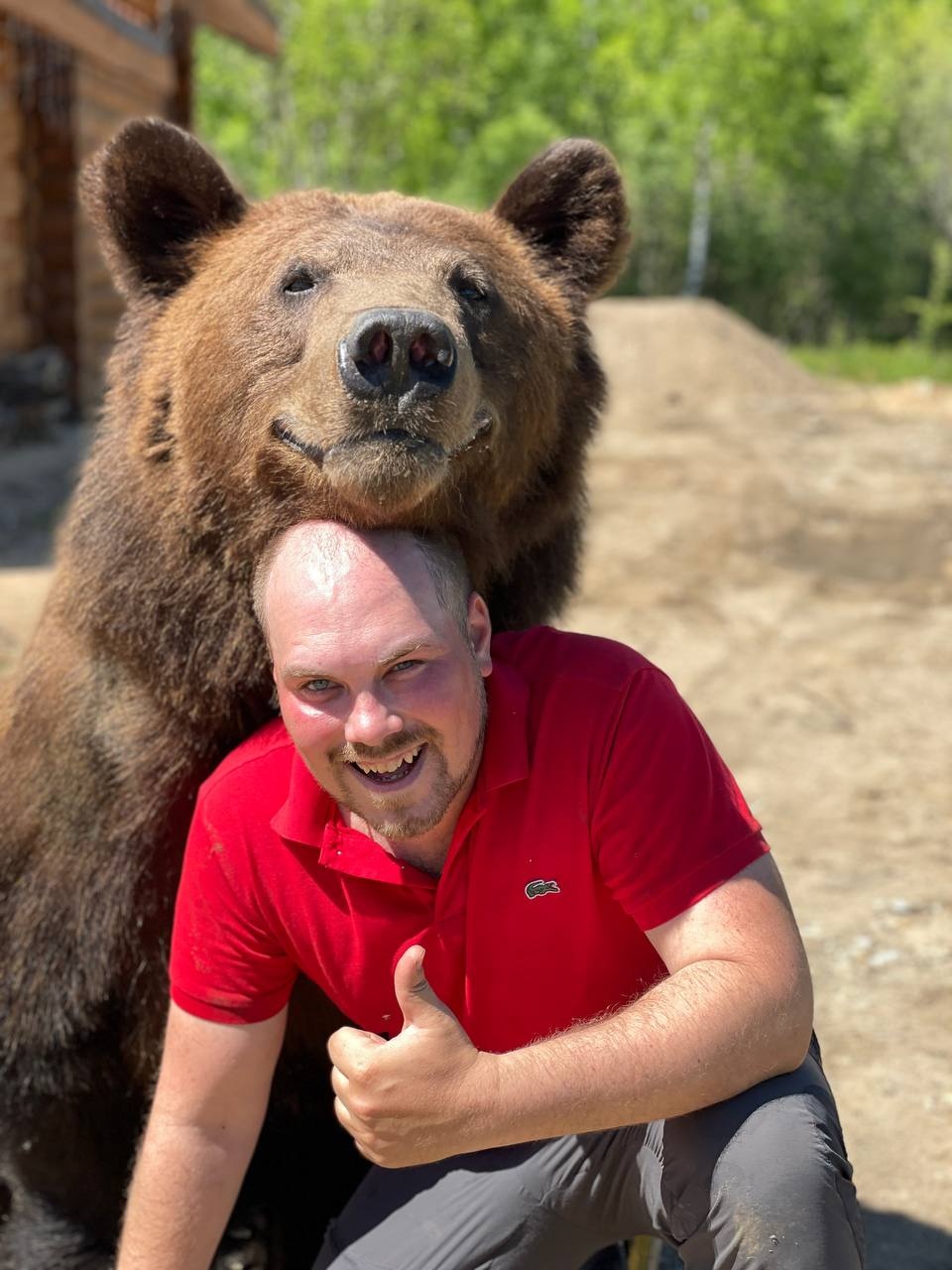 Запечатлеть себя рядом со звездным медведем, который сейчас задействован в съемках с Дмитрием Нагиевым, решились друзья из Коврова. В результате огромный зверь устроил за мужчинами настоящую погоню. Что из этого вышло, понятно из короткого ролика и последующих за ним фотографий.