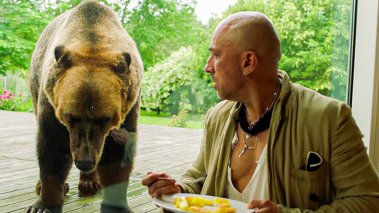 Запечатлеть себя рядом со звездным медведем, который сейчас задействован в съемках с Дмитрием Нагиевым, решились друзья из Коврова. В результате огромный зверь устроил за мужчинами настоящую погоню. Что из этого вышло, понятно из короткого ролика и последующих за ним фотографий.