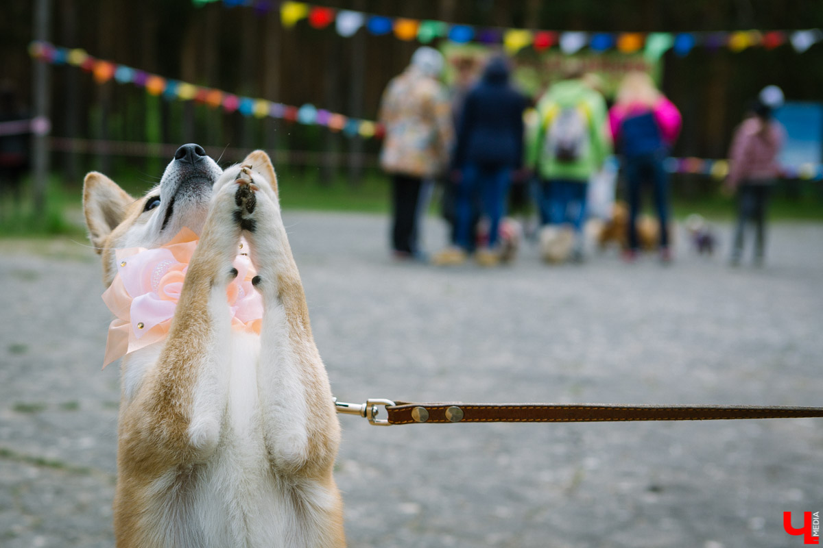 Гулять на День молодежи в этом году Владимир будет в очном формате. После нескольких лет антиковидных ограничений это приятная новость. Основные площадки праздника развернутся на Театральной площади. Чтобы мероприятие прошло безопасно, движение всех видов транспорта в центре перекроют.
