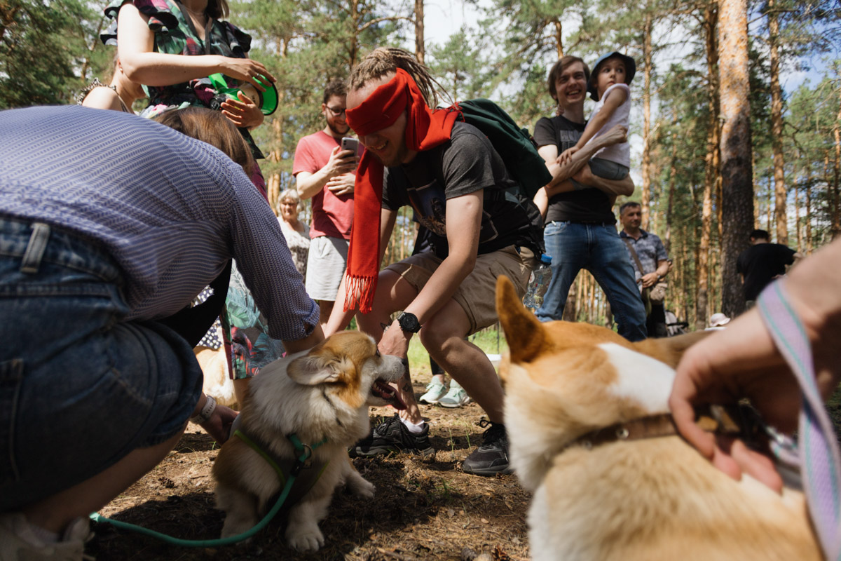 Плюсы быть «коржом»: спишь в любое время, хорошо питаешься, обладаешь чарующей попой и не организуешь крутые праздники самостоятельно, потому что у тебя лапки. На собачьей birthday party, состоявшейся в конце июня, собрались 40 умилительных коржей. Каждый из них привёл с собой любимого хозяина, иногда и обоих сразу. О самой ламповой и масштабной коргитусе во Владимире рассказывает организатор Татьяна Ванькина