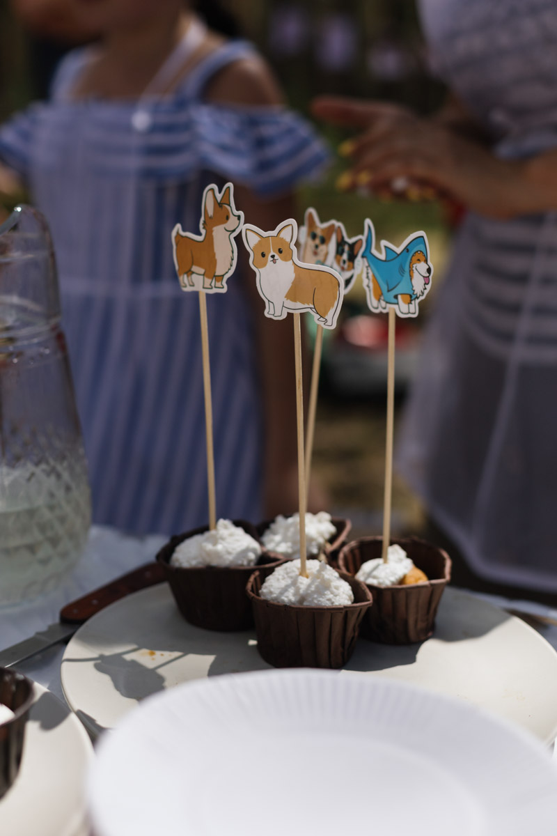 Плюсы быть «коржом»: спишь в любое время, хорошо питаешься, обладаешь чарующей попой и не организуешь крутые праздники самостоятельно, потому что у тебя лапки. На собачьей birthday party, состоявшейся в конце июня, собрались 40 умилительных коржей. Каждый из них привёл с собой любимого хозяина, иногда и обоих сразу. О самой ламповой и масштабной коргитусе во Владимире рассказывает организатор Татьяна Ванькина