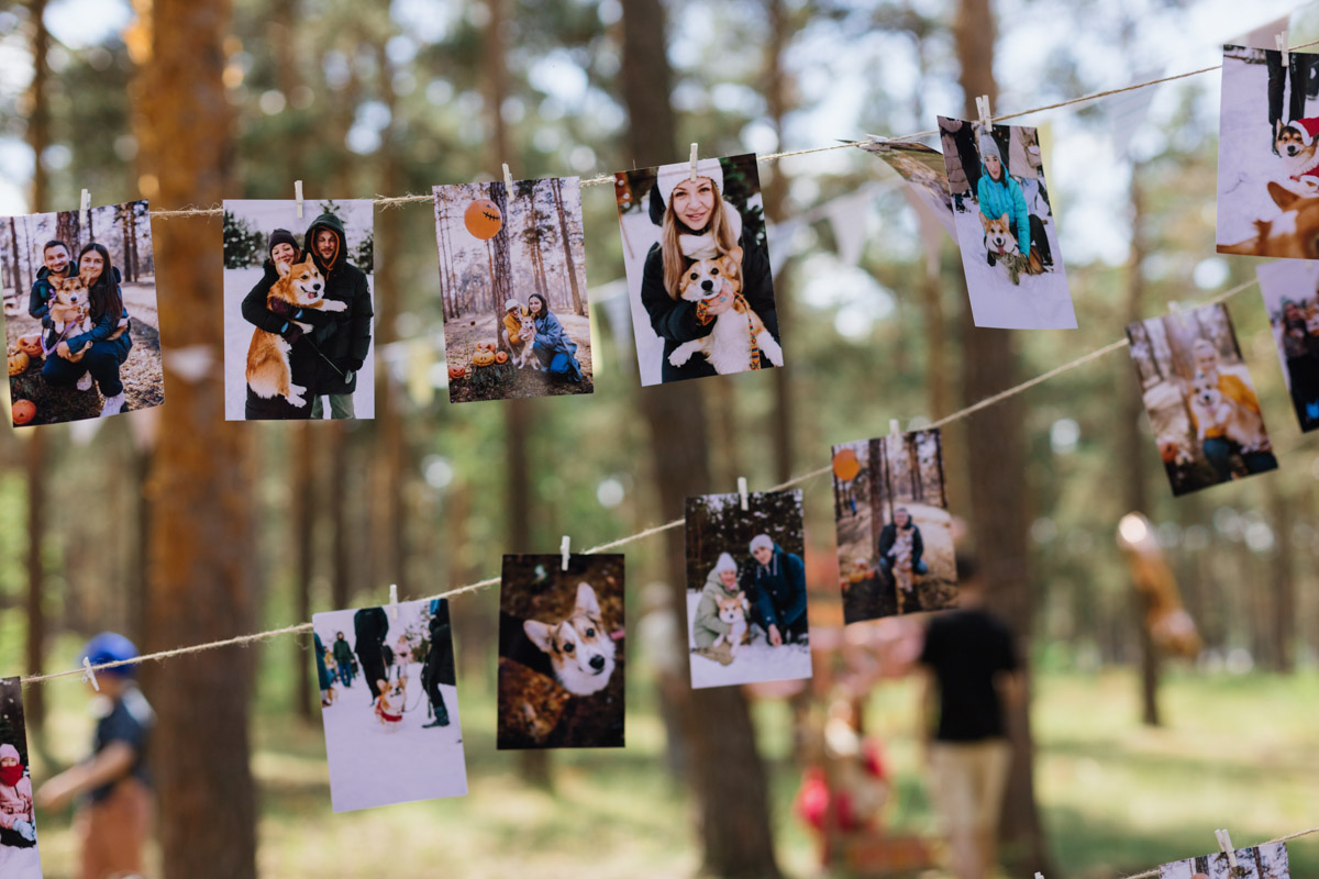 Плюсы быть «коржом»: спишь в любое время, хорошо питаешься, обладаешь чарующей попой и не организуешь крутые праздники самостоятельно, потому что у тебя лапки. На собачьей birthday party, состоявшейся в конце июня, собрались 40 умилительных коржей. Каждый из них привёл с собой любимого хозяина, иногда и обоих сразу. О самой ламповой и масштабной коргитусе во Владимире рассказывает организатор Татьяна Ванькина