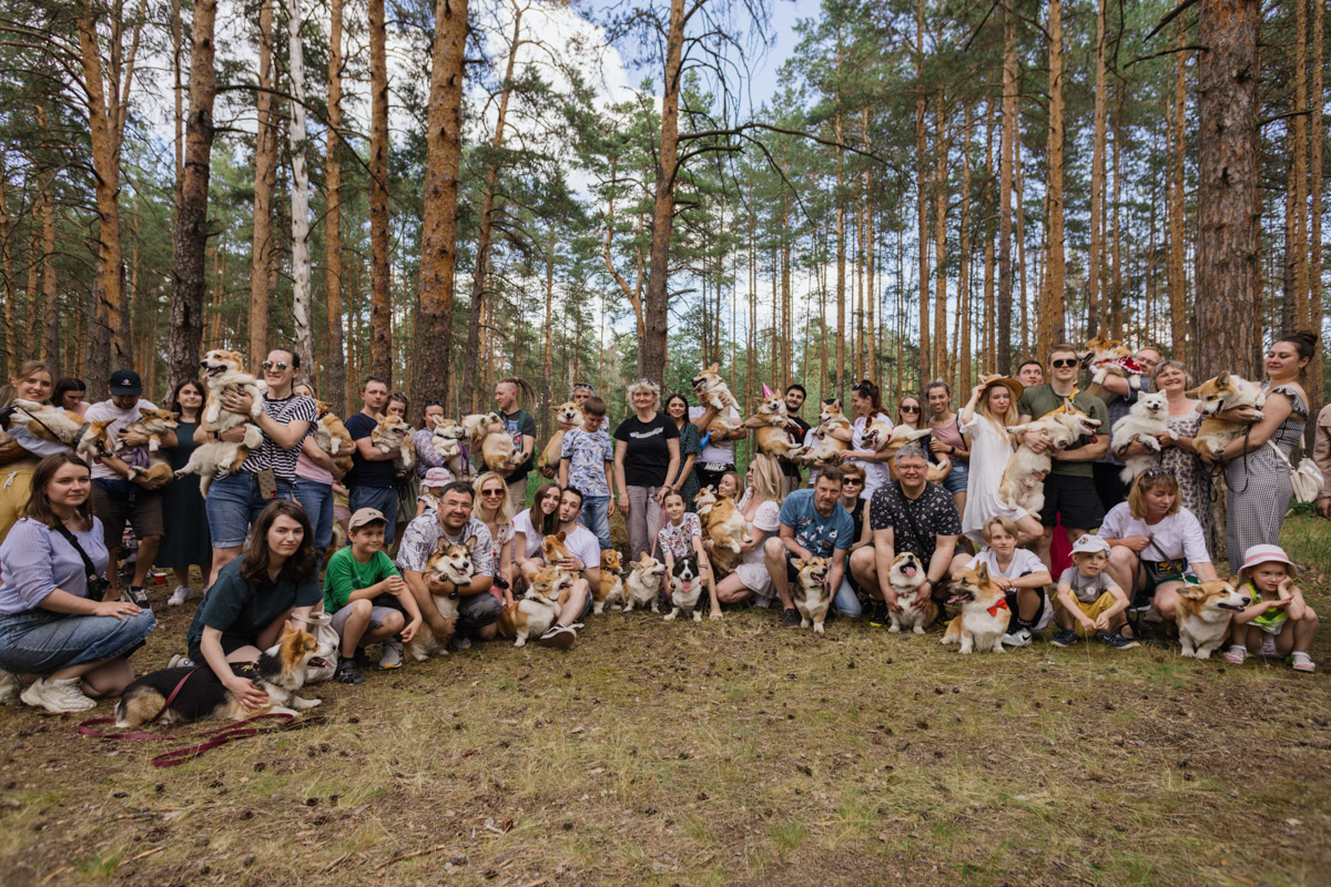 Плюсы быть «коржом»: спишь в любое время, хорошо питаешься, обладаешь чарующей попой и не организуешь крутые праздники самостоятельно, потому что у тебя лапки. На собачьей birthday party, состоявшейся в конце июня, собрались 40 умилительных коржей. Каждый из них привёл с собой любимого хозяина, иногда и обоих сразу. О самой ламповой и масштабной коргитусе во Владимире рассказывает организатор Татьяна Ванькина