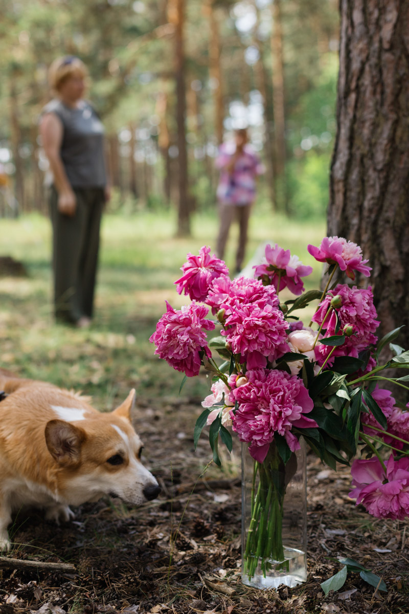 Плюсы быть «коржом»: спишь в любое время, хорошо питаешься, обладаешь чарующей попой и не организуешь крутые праздники самостоятельно, потому что у тебя лапки. На собачьей birthday party, состоявшейся в конце июня, собрались 40 умилительных коржей. Каждый из них привёл с собой любимого хозяина, иногда и обоих сразу. О самой ламповой и масштабной коргитусе во Владимире рассказывает организатор Татьяна Ванькина