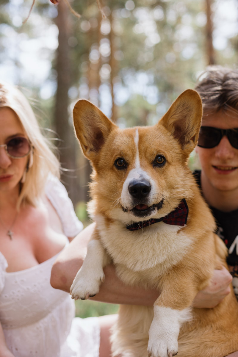 Плюсы быть «коржом»: спишь в любое время, хорошо питаешься, обладаешь чарующей попой и не организуешь крутые праздники самостоятельно, потому что у тебя лапки. На собачьей birthday party, состоявшейся в конце июня, собрались 40 умилительных коржей. Каждый из них привёл с собой любимого хозяина, иногда и обоих сразу. О самой ламповой и масштабной коргитусе во Владимире рассказывает организатор Татьяна Ванькина