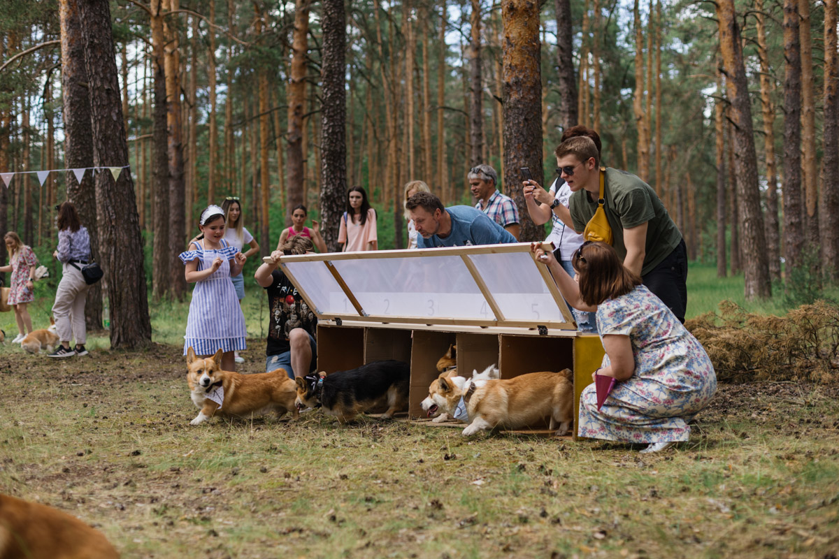 Плюсы быть «коржом»: спишь в любое время, хорошо питаешься, обладаешь чарующей попой и не организуешь крутые праздники самостоятельно, потому что у тебя лапки. На собачьей birthday party, состоявшейся в конце июня, собрались 40 умилительных коржей. Каждый из них привёл с собой любимого хозяина, иногда и обоих сразу. О самой ламповой и масштабной коргитусе во Владимире рассказывает организатор Татьяна Ванькина