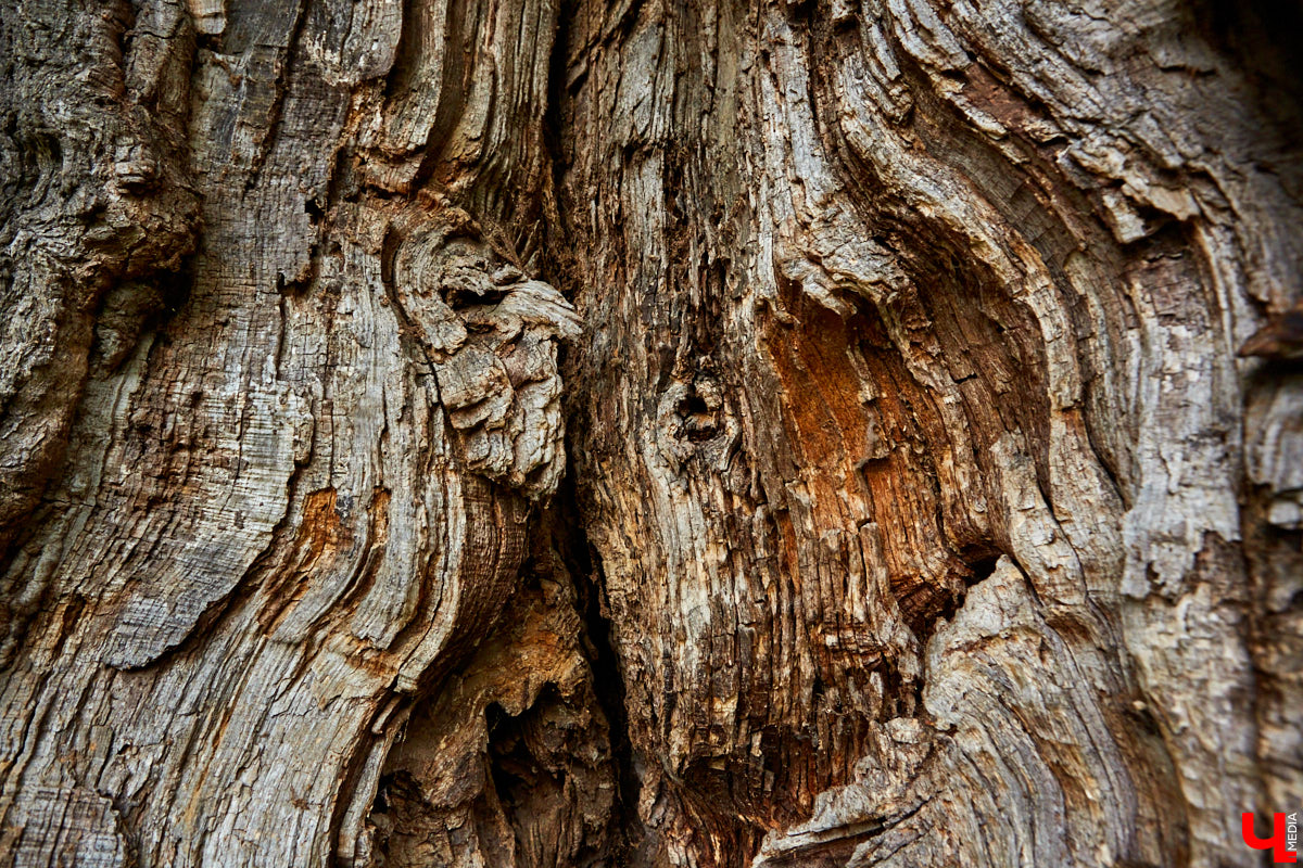 «Ключ-Медиа» собрал для вас подборку направлений, куда отправиться в свой уик-энд. В нее включены как известные многим владимирцам объекты, так и малознакомые и нераскрученные. 