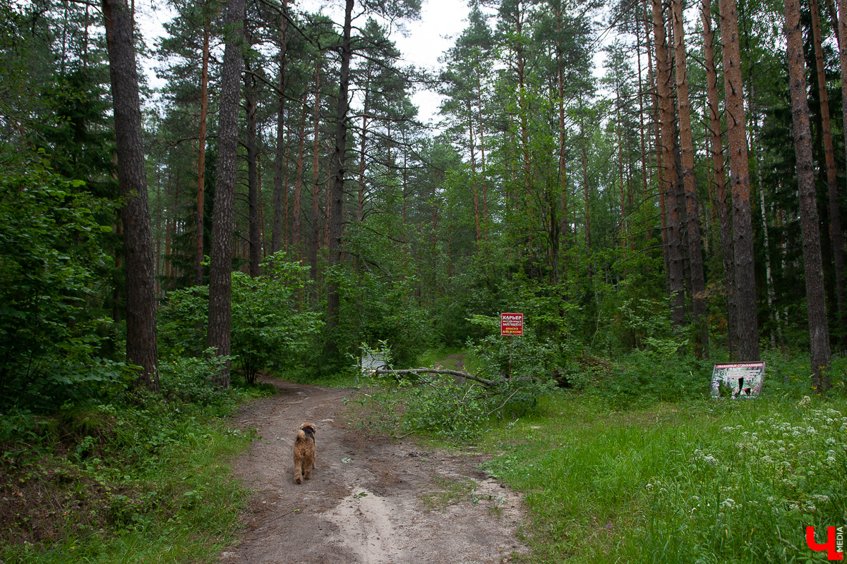 «Ключ-Медиа» собрал для вас подборку направлений, куда отправиться в свой уик-энд. В нее включены как известные многим владимирцам объекты, так и малознакомые и нераскрученные. 