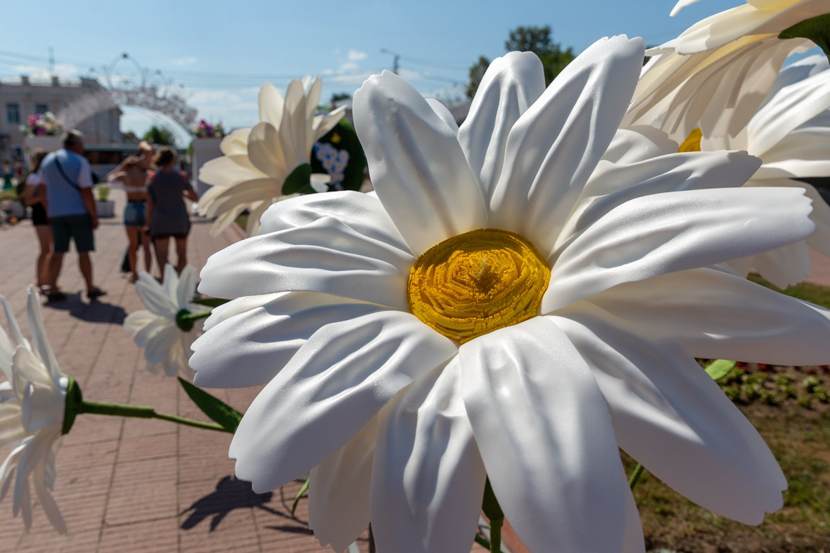 После двух лет ковидных ограничений праздник в Муроме снова соберет звезд российской эстрады. Имена участников концерта в честь Дня семьи, любви и верности долгое время держались в секрете. Наконец-то стало известно, кто все-таки выступит на берегах Оки. 