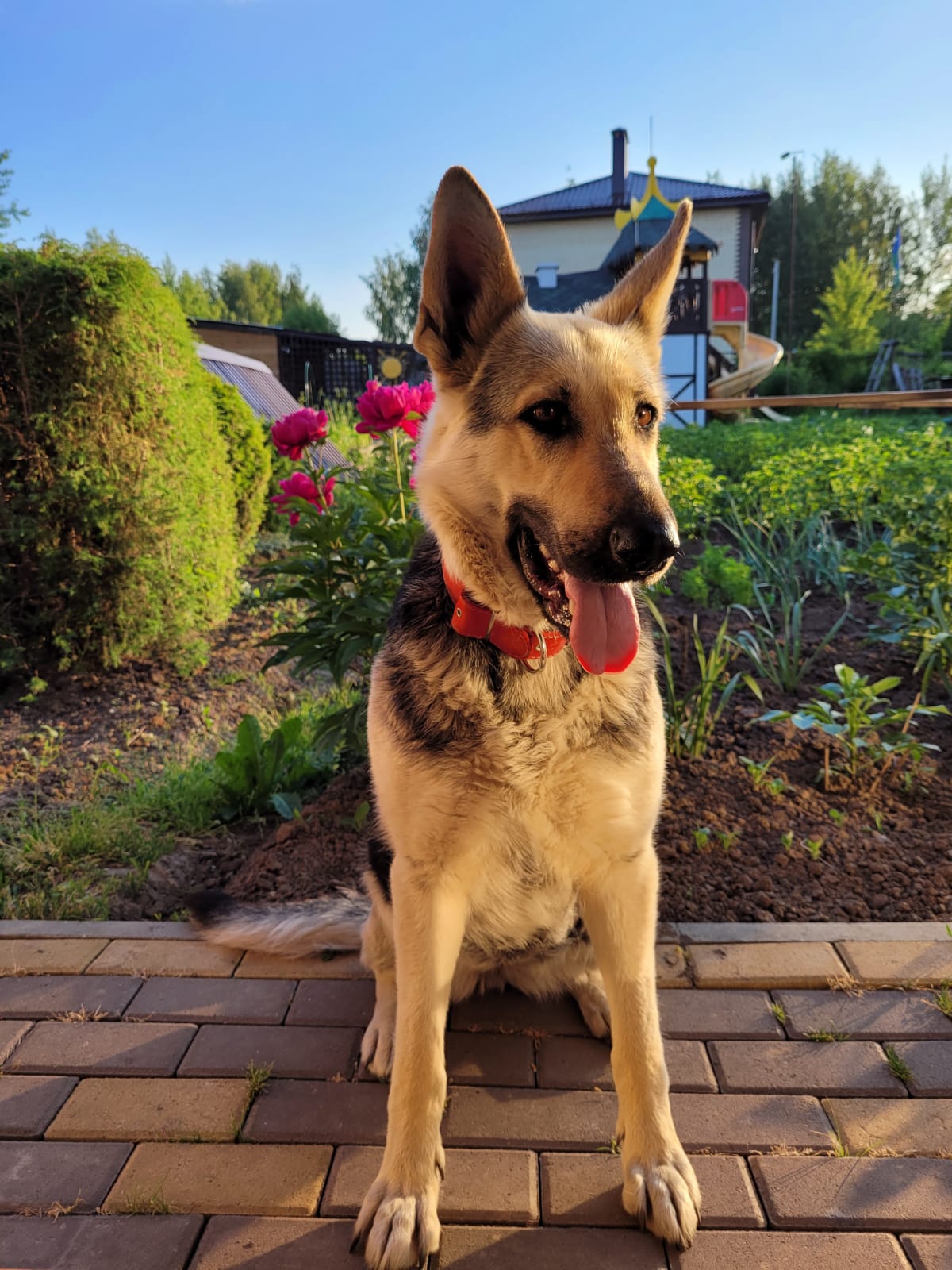 Со школьной скамьи вместе. А это даже больше 50 лет! Сегодня мы познакомим вас с семьей Кузнецовых, заслуженно получившей медаль «За любовь и верность». Их история одновременно простая и трогательная. И как не улыбнуться, читая ее в такой важный для большинства из нас праздник.