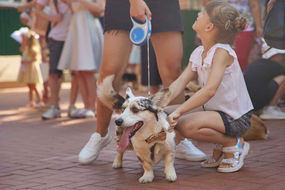 В день открытия выставки «People вместе» на сцене выступали творческие коллективы города, сообщество корги устроило дефиле своих питомцев в красивых костюмах, а ведущие провели розыгрыши призов от спонсоров и веселые конкурсы. И все ради помощи бездомным хвостикам!