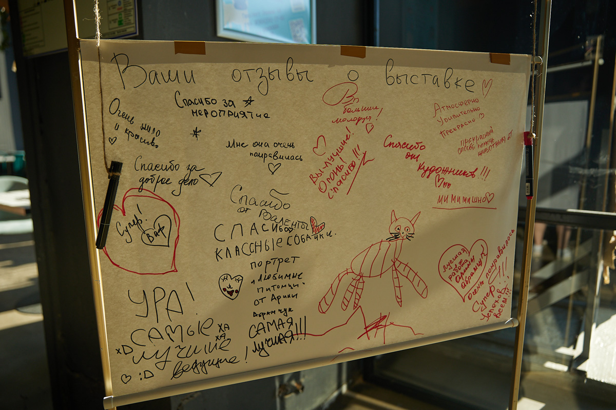 В день открытия выставки «People вместе» на сцене выступали творческие коллективы города, сообщество корги устроило дефиле своих питомцев в красивых костюмах, а ведущие провели розыгрыши призов от спонсоров и веселые конкурсы. И все ради помощи бездомным хвостикам!