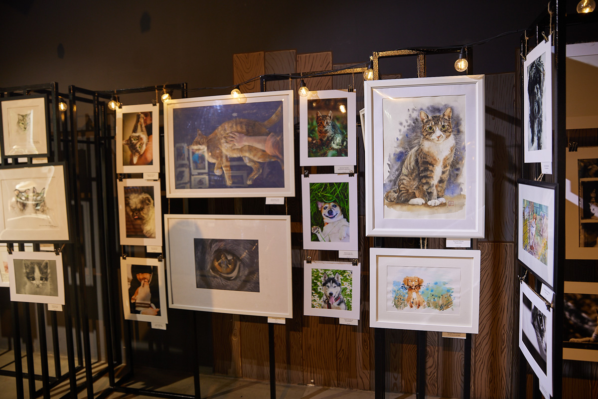 В день открытия выставки «People вместе» на сцене выступали творческие коллективы города, сообщество корги устроило дефиле своих питомцев в красивых костюмах, а ведущие провели розыгрыши призов от спонсоров и веселые конкурсы. И все ради помощи бездомным хвостикам!