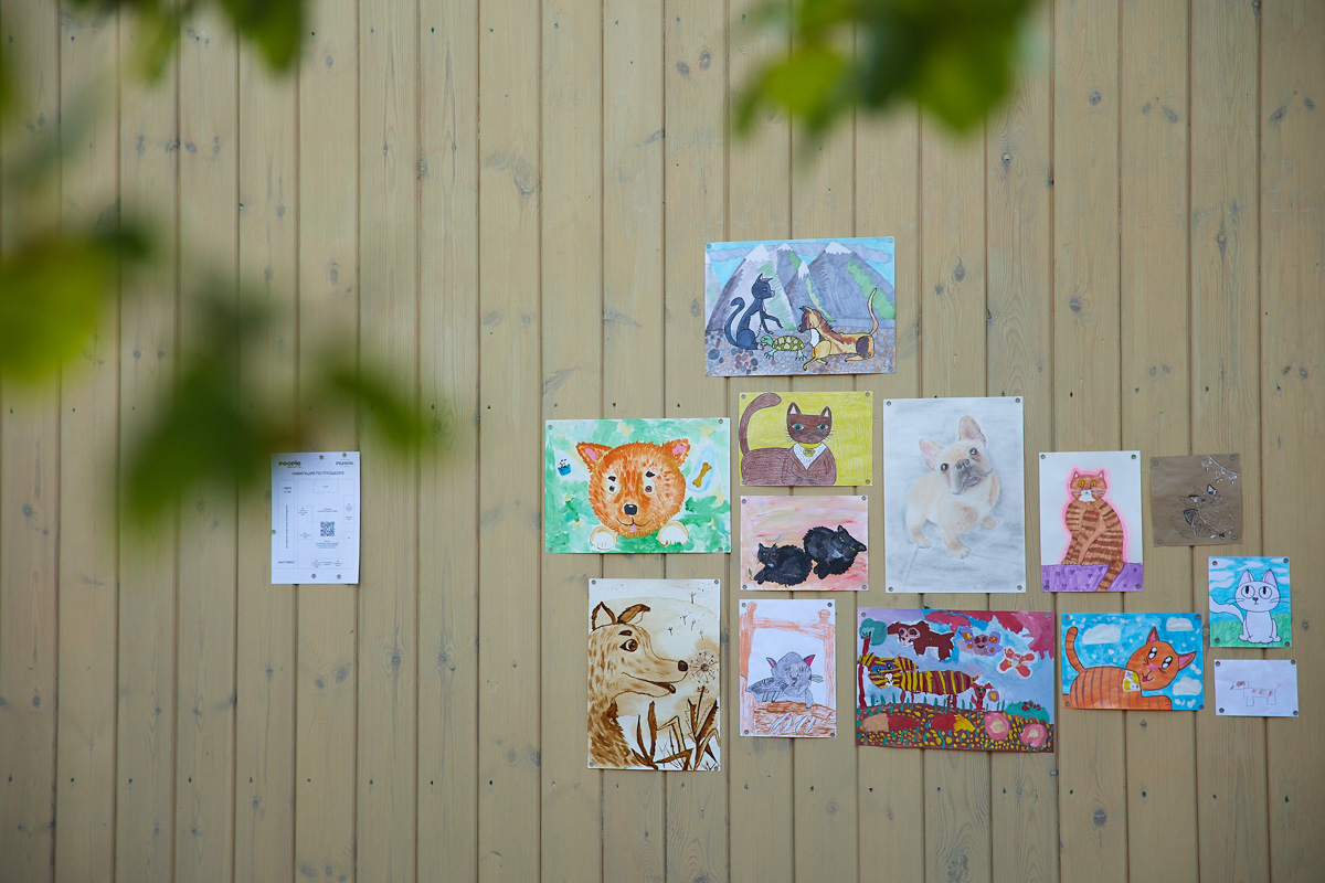 В день открытия выставки «People вместе» на сцене выступали творческие коллективы города, сообщество корги устроило дефиле своих питомцев в красивых костюмах, а ведущие провели розыгрыши призов от спонсоров и веселые конкурсы. И все ради помощи бездомным хвостикам!