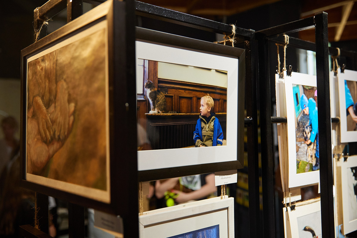 В день открытия выставки «People вместе» на сцене выступали творческие коллективы города, сообщество корги устроило дефиле своих питомцев в красивых костюмах, а ведущие провели розыгрыши призов от спонсоров и веселые конкурсы. И все ради помощи бездомным хвостикам!