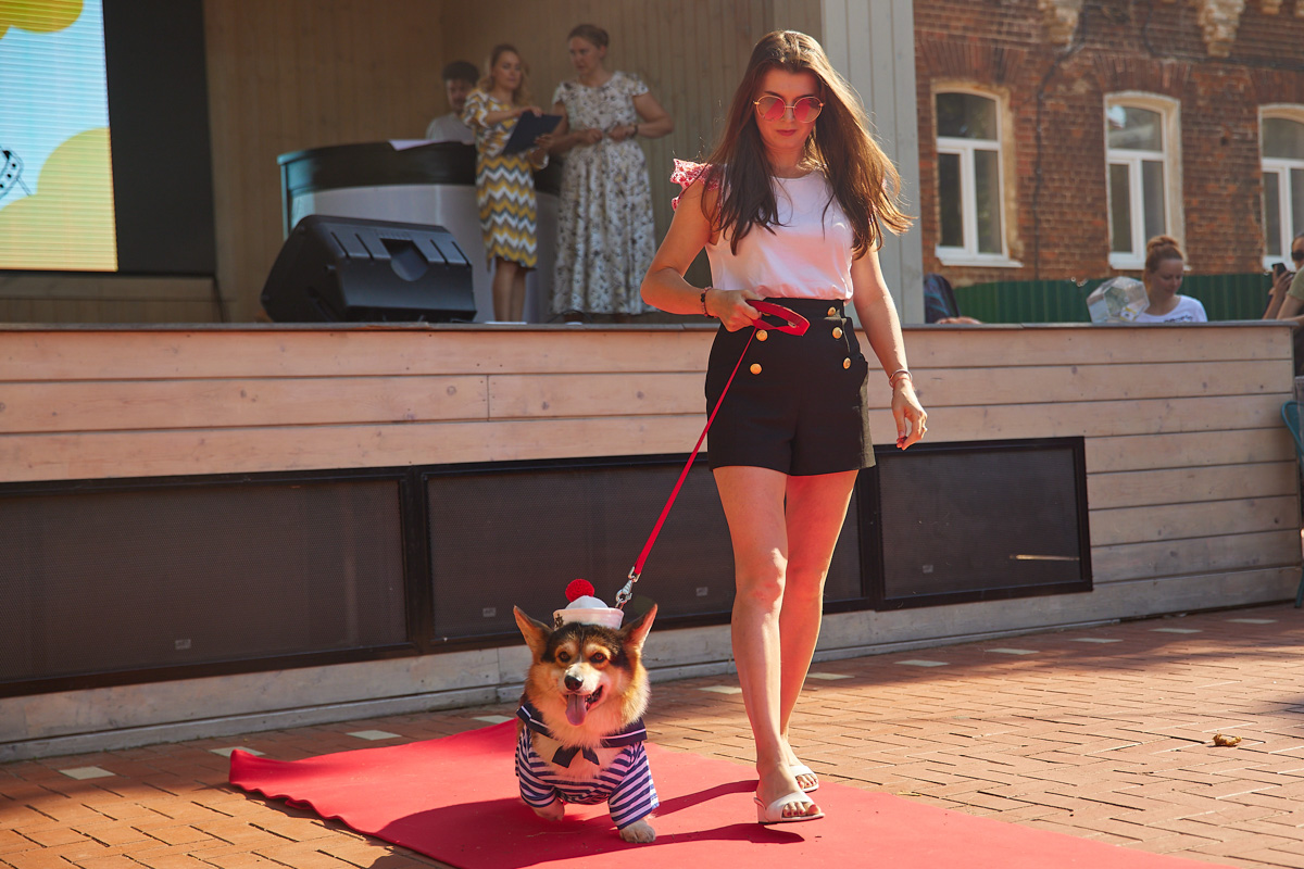 В день открытия выставки «People вместе» на сцене выступали творческие коллективы города, сообщество корги устроило дефиле своих питомцев в красивых костюмах, а ведущие провели розыгрыши призов от спонсоров и веселые конкурсы. И все ради помощи бездомным хвостикам!