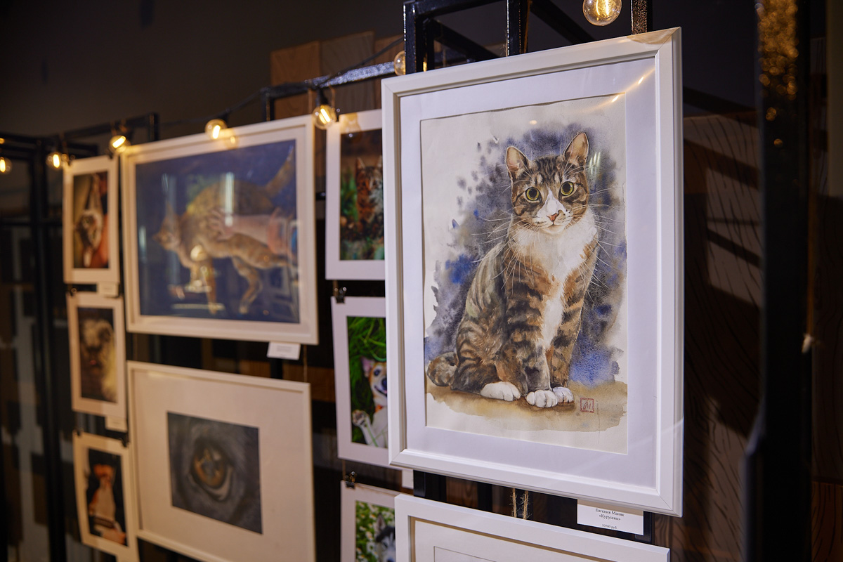 В день открытия выставки «People вместе» на сцене выступали творческие коллективы города, сообщество корги устроило дефиле своих питомцев в красивых костюмах, а ведущие провели розыгрыши призов от спонсоров и веселые конкурсы. И все ради помощи бездомным хвостикам!