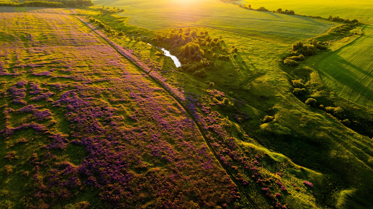 Для постов в сети — обнаженные девушки, для публикаций на личной странице — головокружительные снимки природы с коптера. Некогда столичный фотограф Владимир Кононенко привлек внимание общественности, став причиной перепалок философского характера в местных творческих пабликах: разве приезжие авторы априори лучше местных? «Ключ-Медиа» познакомился с Владимиром Кононенко и узнал, чем приехавший в 33-й регион художник может удивить горожан