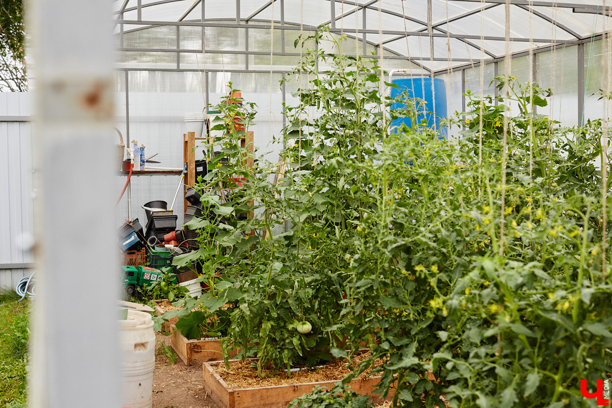 Поменять квартиру в самом центре Владимира на жизнь за городом решатся не все. Но героиня нашего сегодняшнего материала свой выбор сделала в пользу коттеджа. Теперь у нее и ее семьи свой просторный дом с кухней мечты, красивым садом и бассейном.