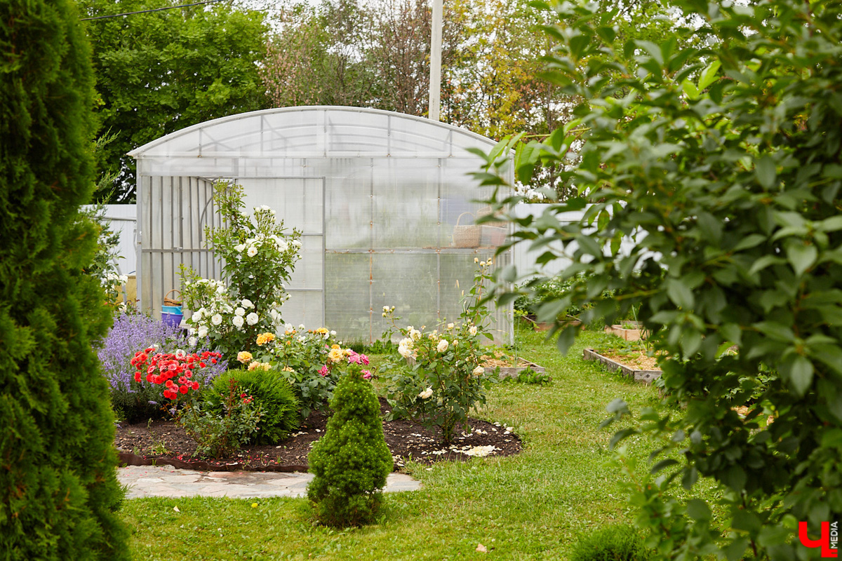 Поменять квартиру в самом центре Владимира на жизнь за городом решатся не все. Но героиня нашего сегодняшнего материала свой выбор сделала в пользу коттеджа. Теперь у нее и ее семьи свой просторный дом с кухней мечты, красивым садом и бассейном.