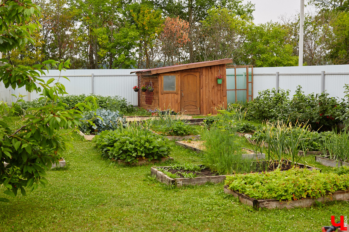 Поменять квартиру в самом центре Владимира на жизнь за городом решатся не все. Но героиня нашего сегодняшнего материала свой выбор сделала в пользу коттеджа. Теперь у нее и ее семьи свой просторный дом с кухней мечты, красивым садом и бассейном.