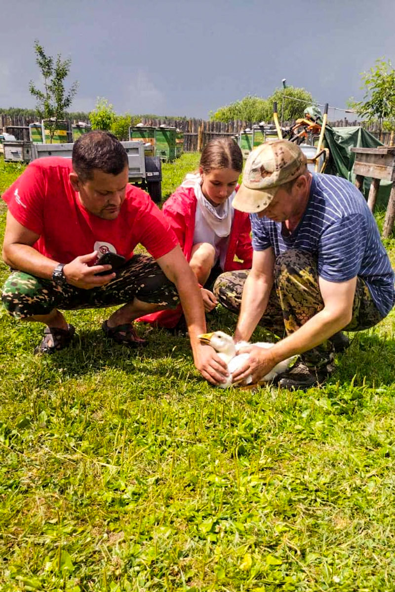 В течение 25 лет клуб каратэ совершенствовал свой летний лагерь и вывел формулу идеального сезонного досуга. Неделя на выездной базе «САН-РИН» во Владимирской области – это не только тренировочные сборы, но и активный отдых на природе, причем для всей семьи.