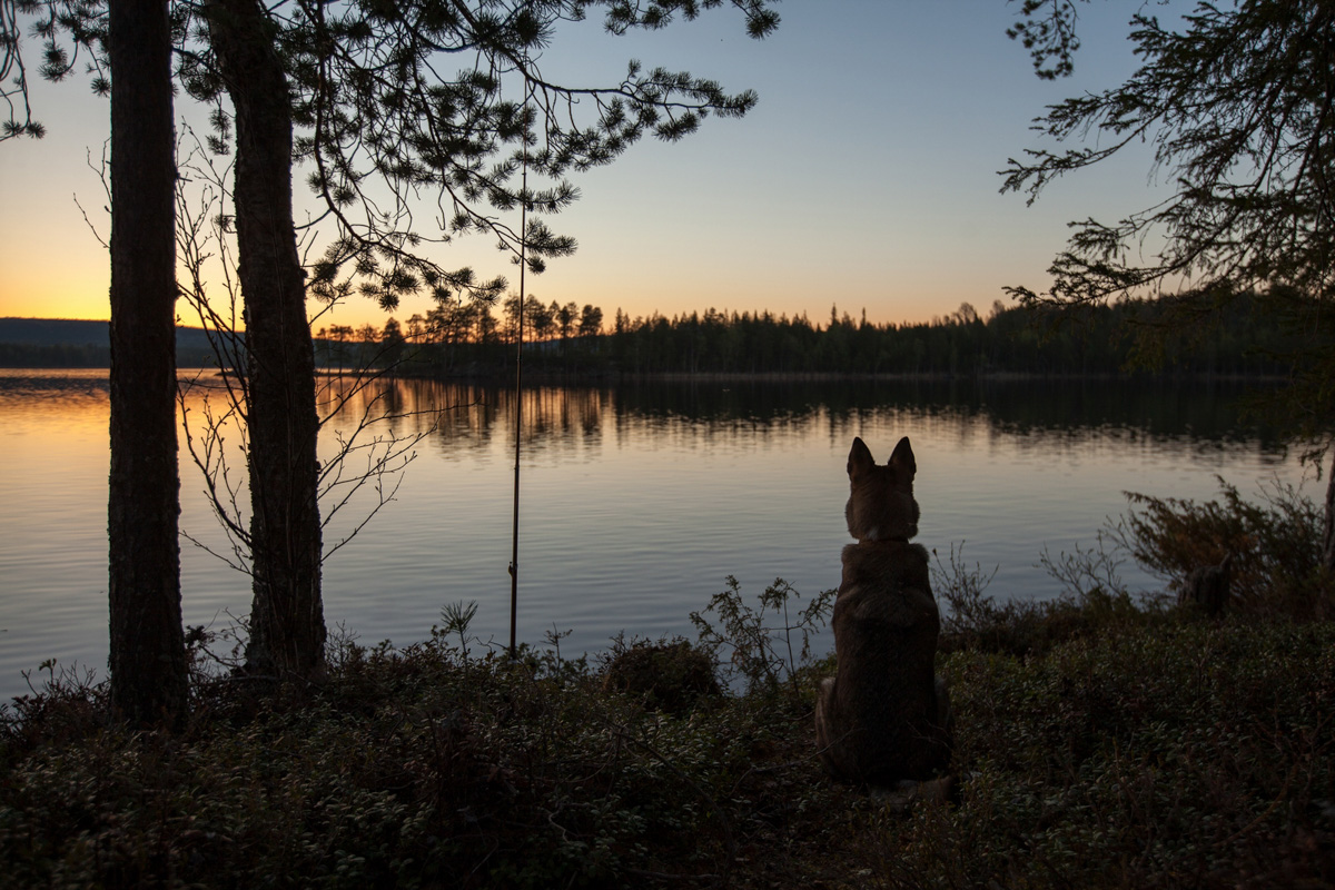 Фотограф из Владимира вошел в число победителей всероссийского фотоконкурса «Моя планета. Чудеса России». Из 3 тысяч работ жюри отобрало всего 43. Среди них и снимок Владимира Никонова «Остров». Как появилась идея этого кадра, чем фотографа привлекают Грузия и Армения и почему он неизменно возвращается в Суздаль? Владимир Никонов рассказал об этом «Ключ-Медиа».