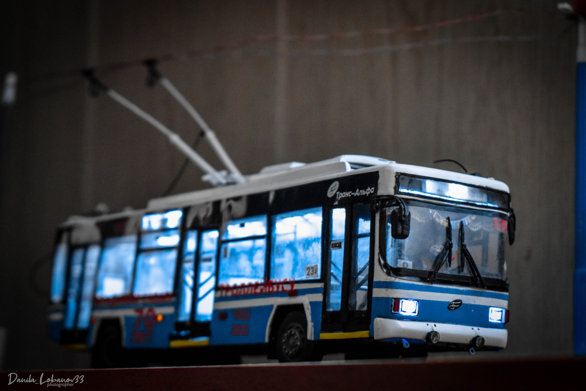 Владимирец Данила Лобанов собрал модель юбилейного троллейбуса в масштабе 1:43. На работу ушло 7 месяцев и около 20 тысяч рублей. За основу был взять транспорт самого популярного в городе 8-го маршрута. Свет в салоне работает, двери открываются, штанги поднимаются. Осталось добавить лишь голосовое сопровождение «До Рябинки» и можно выпускать в рейс.