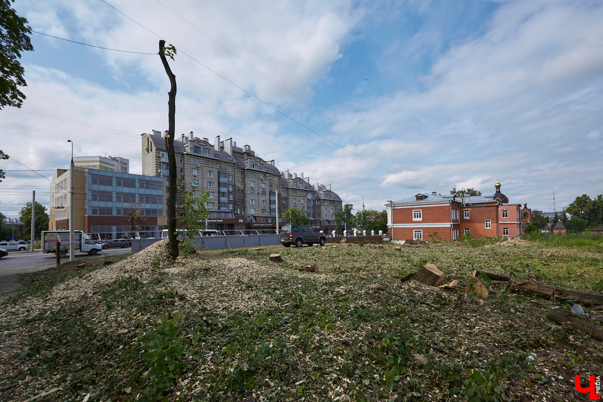 Во Владимире царит жара, и единственное, что хочется в такую погоду, находясь на солнцепеке, – укрыться в тени развесистой кроны деревьев. А сделать это в нашем городе в последнее время все труднее.