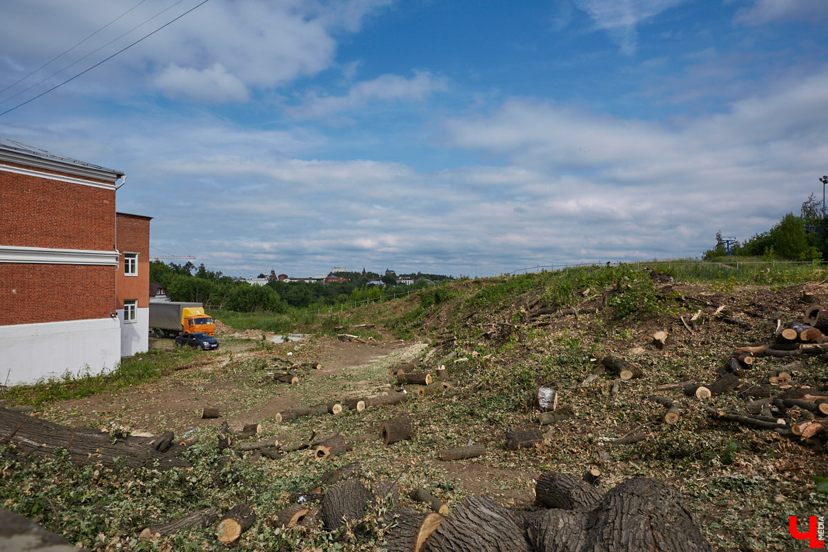 Во Владимире царит жара, и единственное, что хочется в такую погоду, находясь на солнцепеке, – укрыться в тени развесистой кроны деревьев. А сделать это в нашем городе в последнее время все труднее.